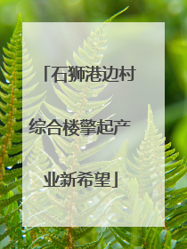 石狮港边村综合楼擎起产业新希望